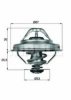 BMW 11531743528 Thermostat, coolant